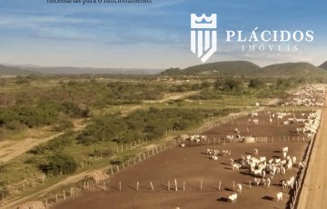 Fazenda com 60.000 hectares à venda no Muqúen do São Francisco - BA